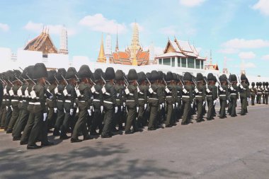 Kraliyet Tay Ordusu hareket