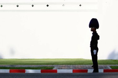 Beyaz duvar zemin üzerine siluet Royal Tay Ordusu