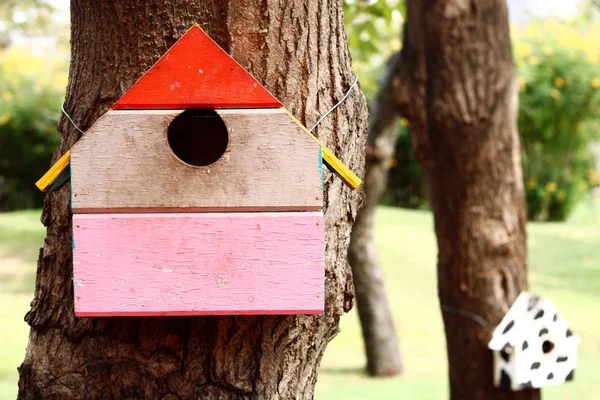 Colorful bird house — Stock Photo, Image