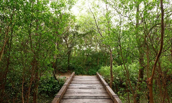 Puente de madera en el bosque — Foto de Stock