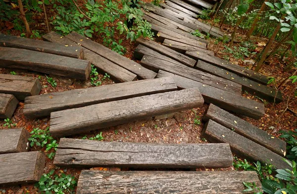 Ormanda ahşap köprü