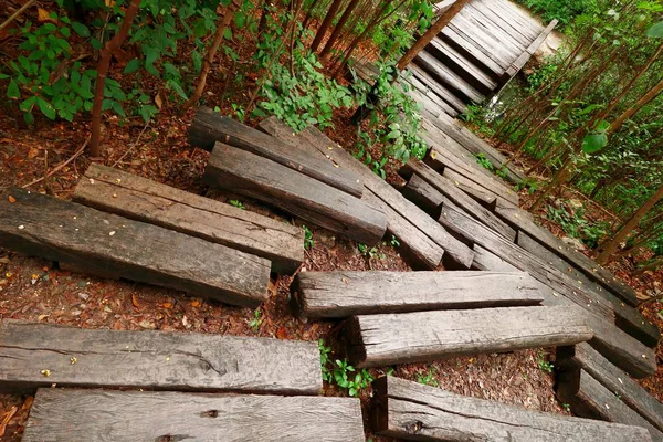 Ormanda ahşap köprü