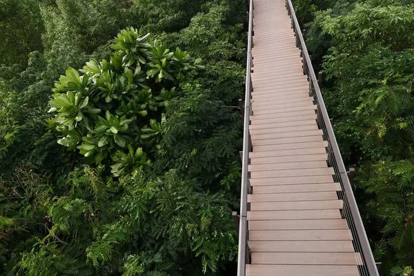 Holzbrücke — Stockfoto