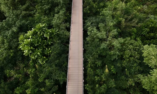 Puente de madera —  Fotos de Stock