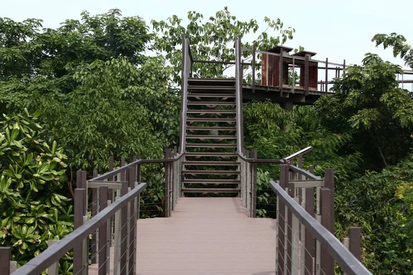 Houten brug — Stockfoto