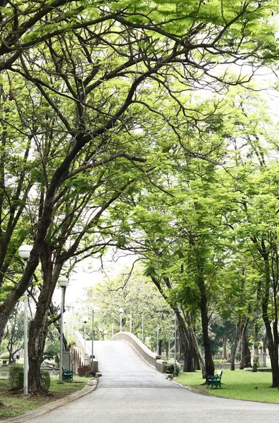 방콕, 태국에 차뚜착 공원 관점 — 스톡 사진