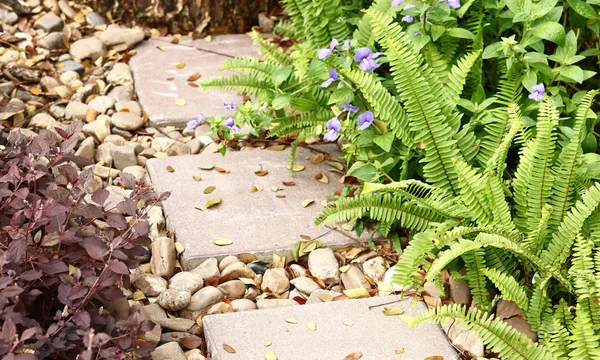 Gardening with Stone Pathway — Stock Photo, Image
