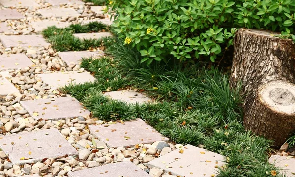 Stone Pathway di Green Park — Stok Foto