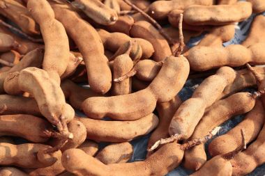 taze tatlı olgun demirhindi