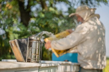  Ahşap arı kovanlarının orada bir arı yetiştiricisi var. Apiculture kavramı.
