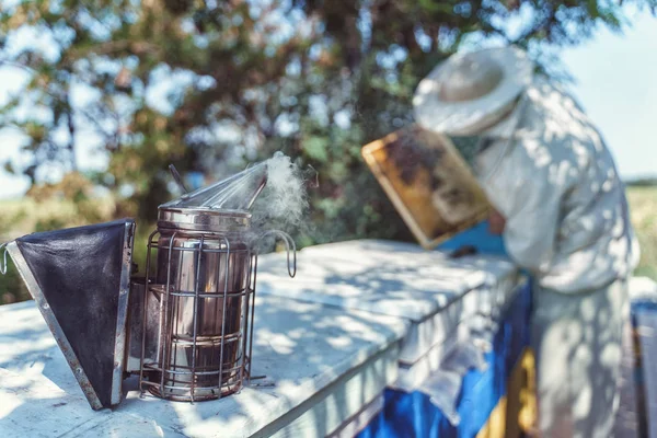 Ahşap arı kovanlarının orada bir arı yetiştiricisi var. Apiculture kavramı.