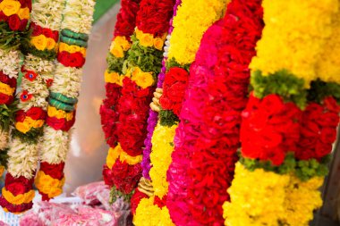 Singapur 'da taze bir çiçek pazarı tasması