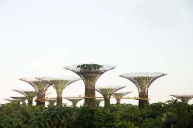 Singapur, körfez kenarındaki bahçelerde ağaçlar
