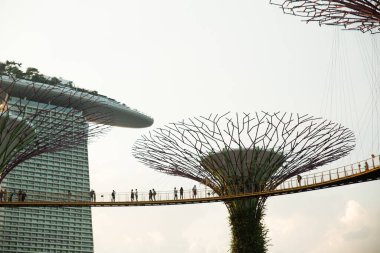 Singapur, körfez kenarındaki bahçelerde ağaçlar
