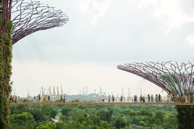 Skyway 'de ziyaretçiler, Körfez kenarındaki Bahçeler