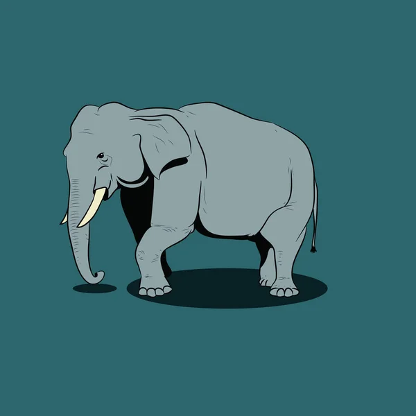 Afrika ya da Asya fili 