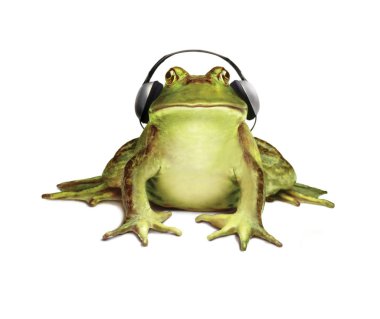 Frog with Headphones on white background