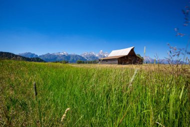 Iconic T. A. Moulton ahırı ve Grand Teton Ulusal Parkı 'ndaki Teton tepeleri, Wy
