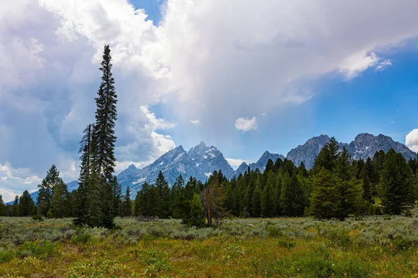 Grand Teton Ulusal Parkı 'nda Grand Teton serisi. Grand Teton Ulusal Parkı Wyoming, Usa 'da. Ayrıca, Grand Teton sıradağları Amerikan dağlarının bir parçasıdır..