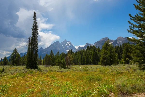Grand Teton Ulusal Parkı 'nda Grand Teton serisi. Grand Teton Ulusal Parkı Wyoming, Usa 'da. Ayrıca, Grand Teton sıradağları Amerikan dağlarının bir parçasıdır..