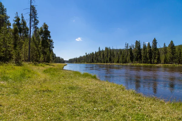 Güzel orman yansıma Yellowstone Milli Parkı'nda, Yellowstone Nehri yatay