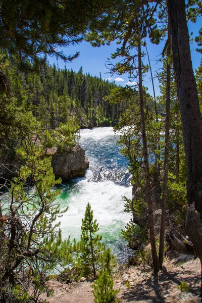 Yellowstone Ulusal Parkı, Wyoming Büyük Kanyonu 'nun Aşağı Şelaleleri