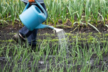 Elle sulama kutusuyla bitkileri sulamak