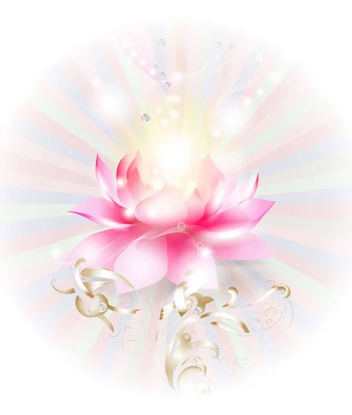 Belle fleur de lotus — Image vectorielle