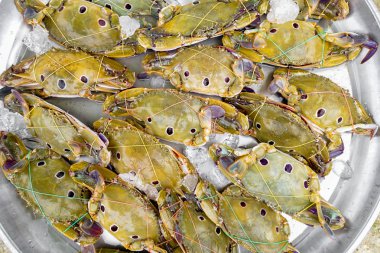 Satmak için taze Yengeç 