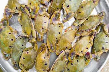 Satmak için taze Yengeç 