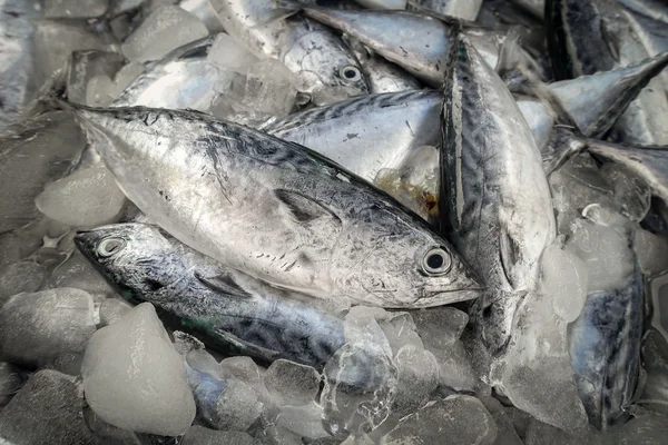 Ikan mentah untuk dijual — Stok Foto