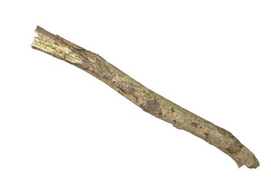 dalını yedeklemek kapatın 