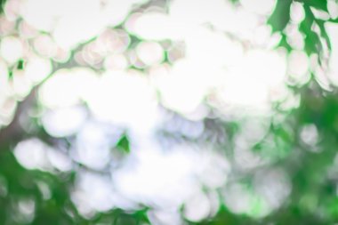 Bokeh doğa arka plan bulanık soyut 