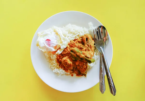 Chiuda il curry su riso con uovo nel piatto — Foto Stock