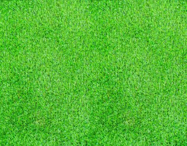 yeşil çim dokusu
