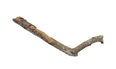 Kurutulmuş dal arka plan