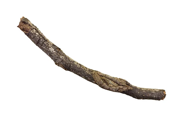 Dried branch background — Stock Photo, Image