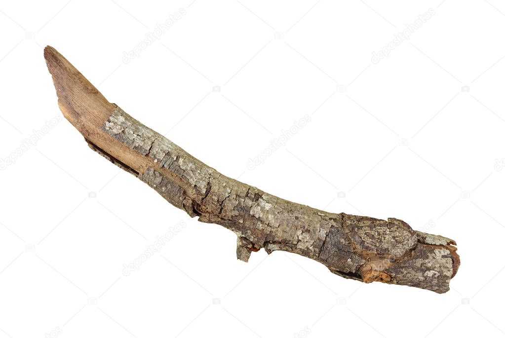 Dried branch background