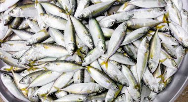 çiğ balık için satmak 