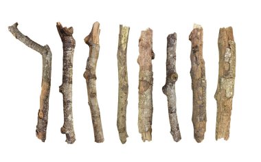 Kurutulmuş dal arka plan