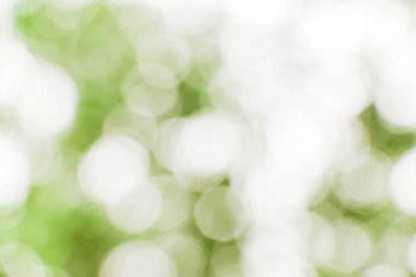 Soyut yeşil doğa arka plan bulanık 