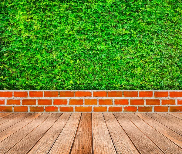 Fresh green plant with brick — Stock Photo, Image