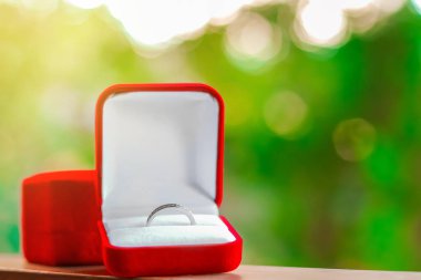 Alyans kırmızı kutusunda kadar kaybetmek 