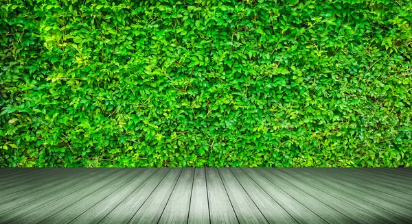 Estantes de madera con pequeñas plantas verdes frescas y fondo de ladrillo — Foto de Stock
