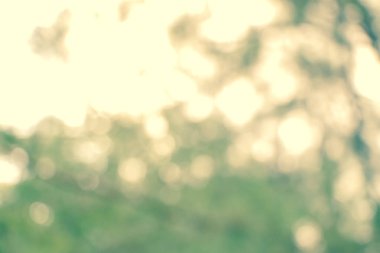  Soyut bulanık yaz yeşil bokeh