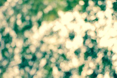  Soyut bulanık yaz yeşil bokeh