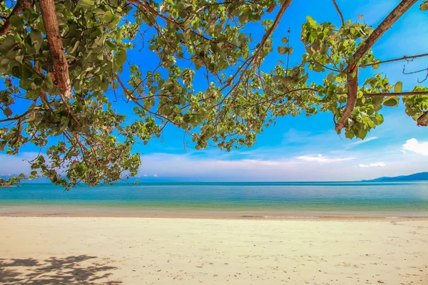 Schöner Himmel mit Meer — Stockfoto