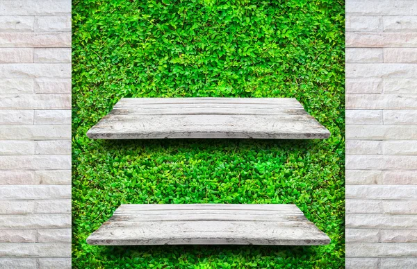 Estantes de madera blancos suaves con plantas pequeñas verdes frescas y fondo de ladrillo — Foto de Stock