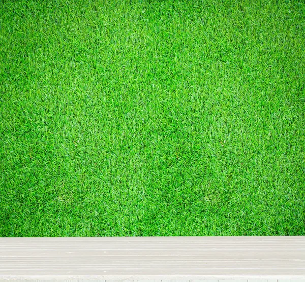 Texture di erba verde — Foto Stock