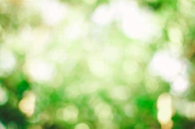 Çimento rustik düğüm